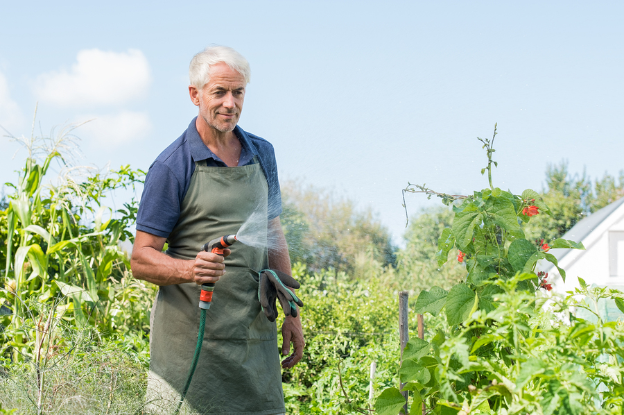 One of the health benefits of gardening is that it encourages physical movement.