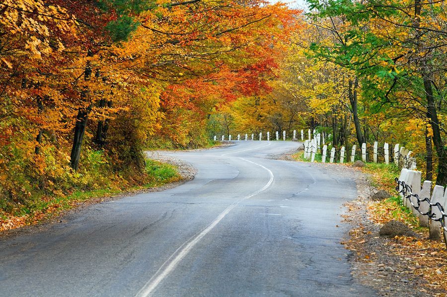 The Arkansas Ozarks is one of the scenic places to travel in fall where you can enjoy foliage and hearing loss-friendly activities.