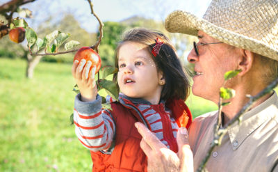 One of the fall activities to do with your grandkids is go fruit picking