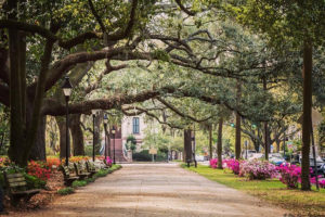 Another one of the warm winter travel destinations for seniors on this list is Savannah, Georgia.