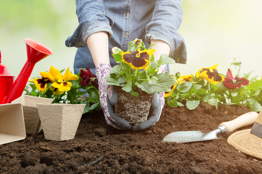 These tips on how to start a flower garden are inspired by Plant a Flower Day.