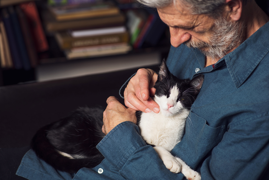 5 of the Best Pets for Seniors