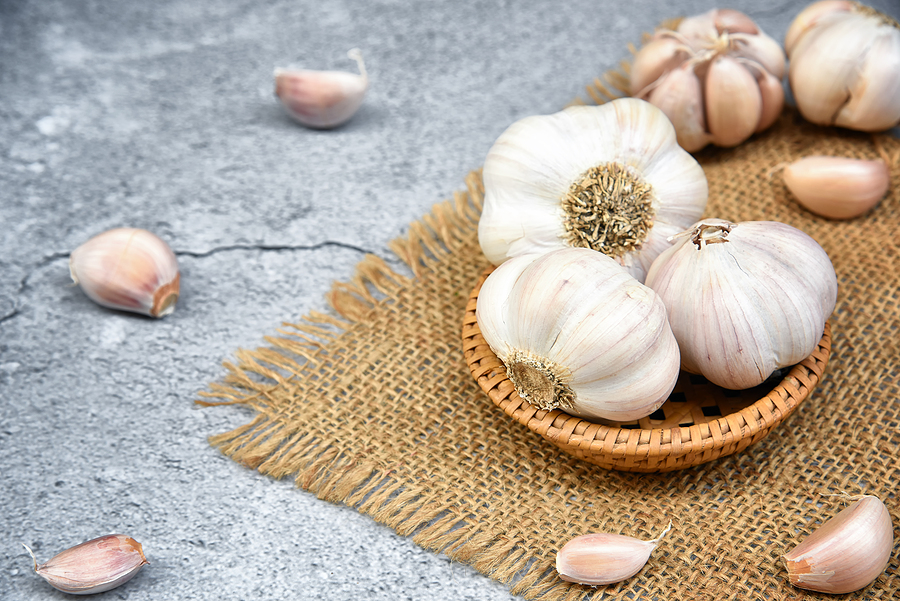 One of the health benefits of garlic is it helps fight illness.