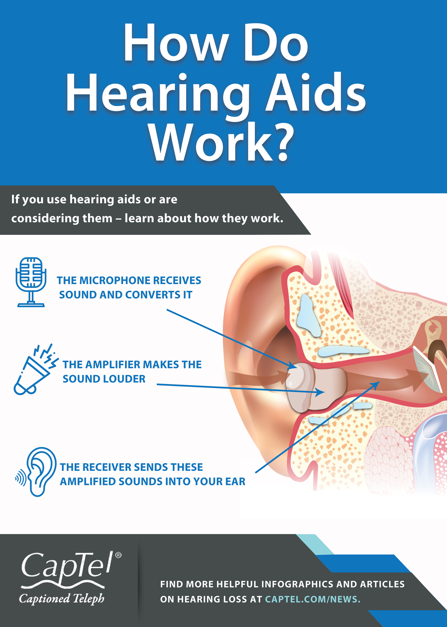 hearing aids assignment