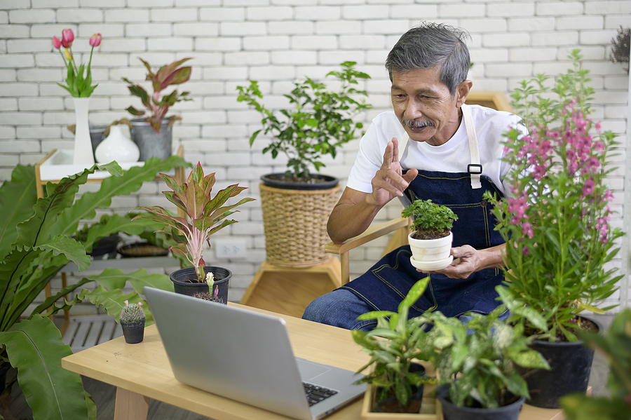 Find six fun and engaging online activities for seniors.