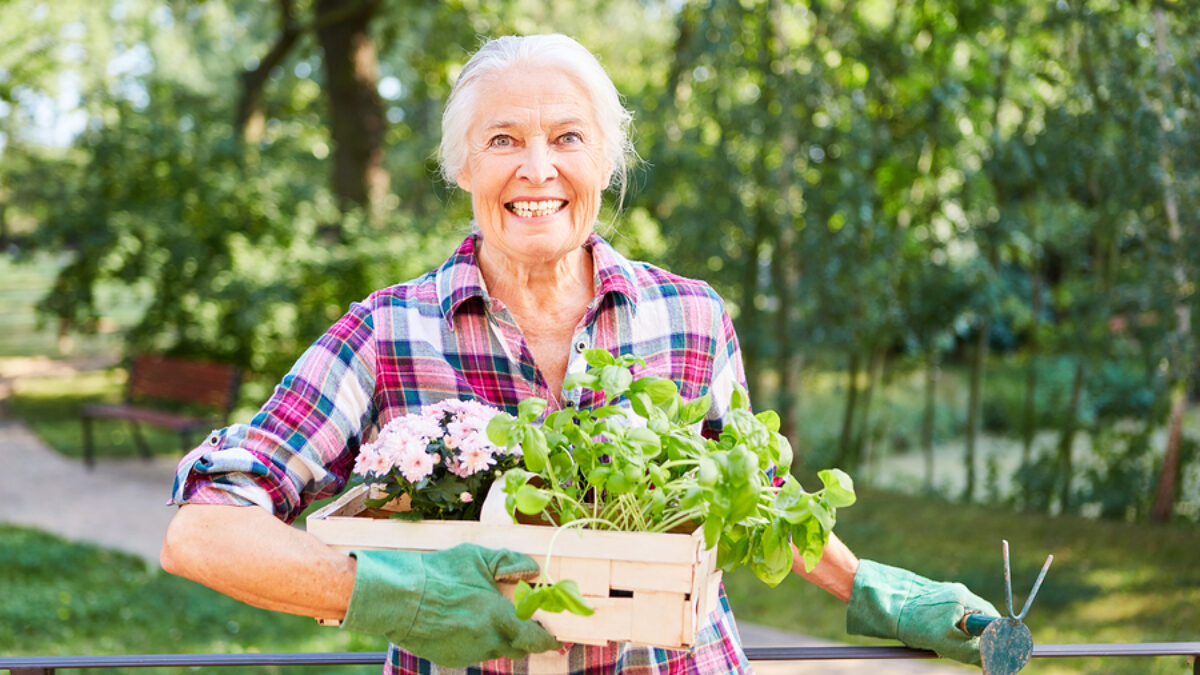 Essential Herb Garden Planting Tips & Gardening Techniques