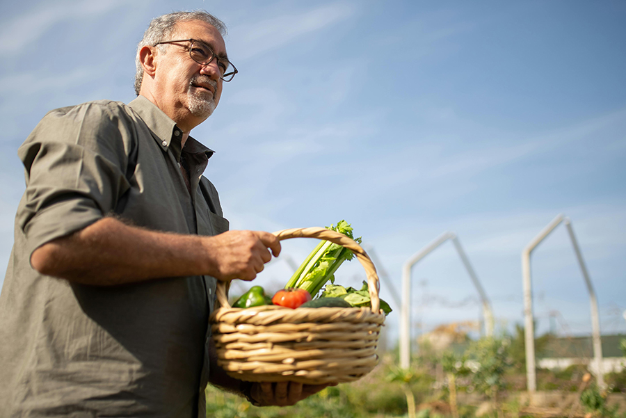 If your garden is teeming with delicious produce, here are some ways to share your summer garden harvest in meaningful ways.