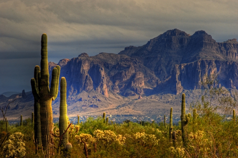 The desert landscape of Arizona makes Phoenix a unique destination for travelers looking to experience the American Southwest.